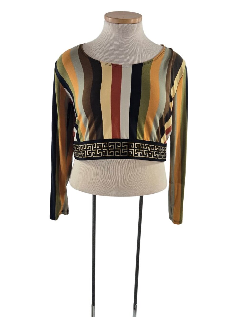 Multicolor Stripe Long Sleeve Crop Top by Discreet